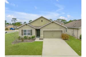 402 Pink Coral Ln, NEW SMYRNA BEACH