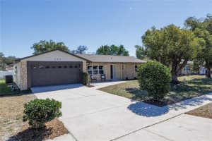 172 Brandy Hills Dr, PORT ORANGE