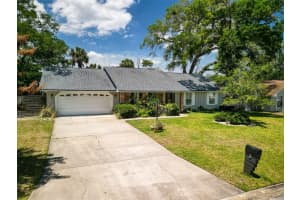 3 Larisa Ter, ORMOND BEACH