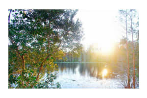 464 Briar Bay Cir , ORLANDO 464 Briar Bay Cir , ORLANDO