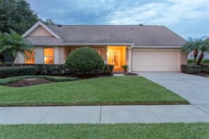 1336 Brandy Lake View Cir , WINTER GARDEN 1336 Brandy Lake View Cir , WINTER GARDEN