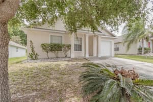 1158 Sheeler Hills Dr, APOPKA