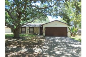 7735 Pineapple Dr, ORLANDO