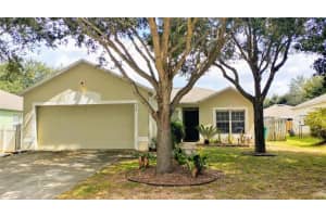 975 Vanderbilt Dr, EUSTIS