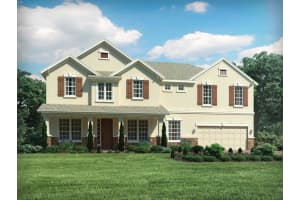 1725 Fullers Oak Loop, WINTER GARDEN