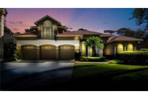 8672 Great Cove Dr, ORLANDO