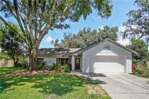 4125 Dora Wood Dr, MOUNT DORA