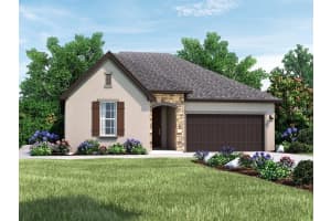 10042 Hampshire Oaks Dr, ORLANDO