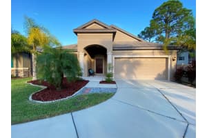 8003 Whitetail Deer Way, TAMPA