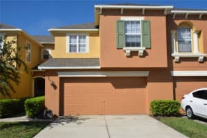 272 Winter Nellis Cir, WINTER GARDEN