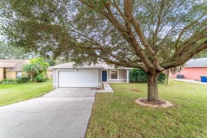 653 Park Valley Cir, MINNEOLA 653 Park Valley Cir, MINNEOLA