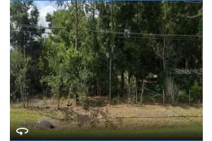 10336 Buck Rd, ORLANDO