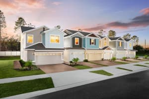 34192 Rogallo Lane, WESLEY CHAPEL