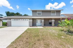 12409 Cardiff Dr, TAMPA