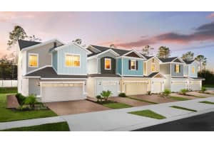 34186 Rogallo Lane, WESLEY CHAPEL