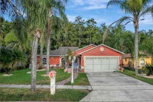 2460 Oak Mill Dr, KISSIMMEE