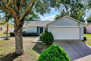 15342 Margaux Dr, CLERMONT