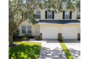 3029 Bear Oak Dr, VALRICO