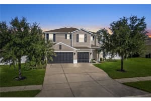 421 Lone Heron Way, WINTER GARDEN