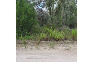 Ne 66th Ln, WILLISTON Ne 66th Ln, WILLISTON