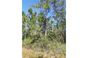 S Fork Ranch Dr, CLERMONT