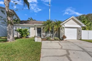 10139 Cedar Dune Dr, TAMPA