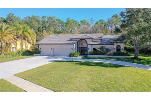 3933 Wellington Pkwy, PALM HARBOR 3933 Wellington Pkwy, PALM HARBOR
