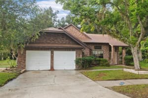 10469 Copperwood Dr, NEW PORT RICHEY