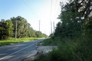 8915 County Road 44, LEESBURG