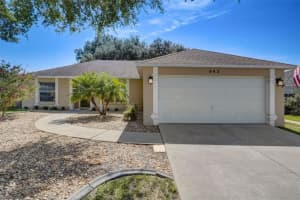 943 Arbor Hill Cir, MINNEOLA