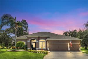 10048 Marsh Pointe Dr, ORLANDO