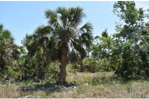 15189 Amsterdam Ave, PORT CHARLOTTE