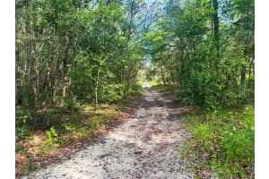 10187 N Holyoak Ter, DUNNELLON