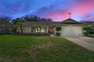 4220 Barnsley Dr, ORLANDO 4220 Barnsley Dr, ORLANDO