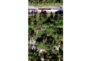 1011 Tropicana Dr, INDIAN LAKE ESTATES