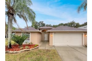 6606 Long Bay Ln, TAMPA