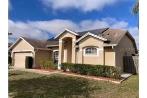 10013 Oasis Palm Dr, TAMPA
