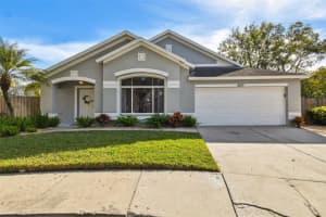 8829 Cypress Hammock, TAMPA