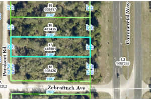 Commercial Way, WEEKI WACHEE