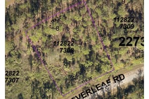 Silverleaf Rd, NORTH PORT