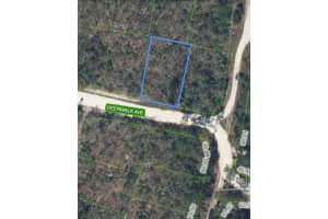 284 Deerwalk Ave, LAKE PLACID