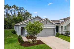 4559 Gadwall Dr, KISSIMMEE 4559 Gadwall Dr, KISSIMMEE