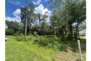 6760 Quail Hollow Blvd, WESLEY CHAPEL