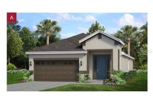168 Duckweed Ave, FRUITLAND PARK
