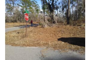Lot 20 Ne 155th Ct, WILLISTON Lot 20 Ne 155th Ct, WILLISTON
