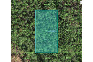 60 E St, LAKE WALES