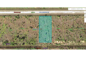 Calliandra Dr, LAKE WALES