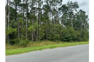20607 Newby St, ORLANDO