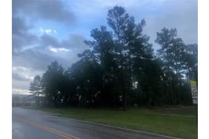 Learning Ln, DELTONA