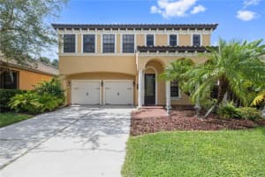 8231 Dunham Station Dr, TAMPA